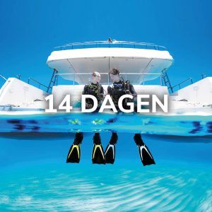 Open Water Diver (Nederlands, 14 dagen)