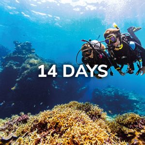 Open Water Diver (English, 14 days)