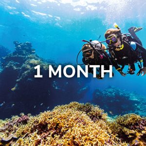 Open Water Diver (English, 30 days)