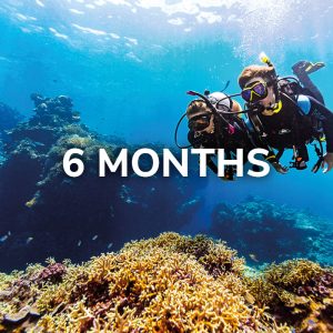 Open Water Diver (English, 6 months)