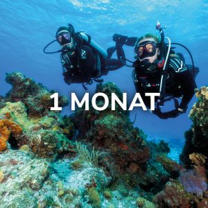 Open Water Diver (Deutsch, 30 Tage)