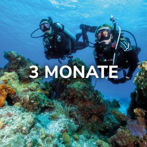 Open Water Diver (Deutsch, 3 Monate)