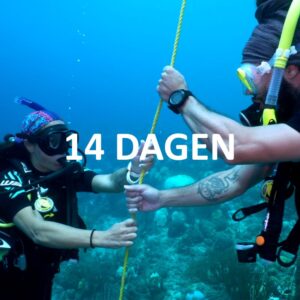 Advanced Open Water (Nederlands, 14 dagen)